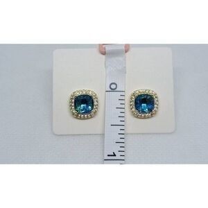 NWT stud earrings